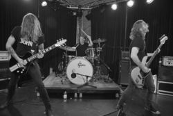 Pet the Preacher, 2014